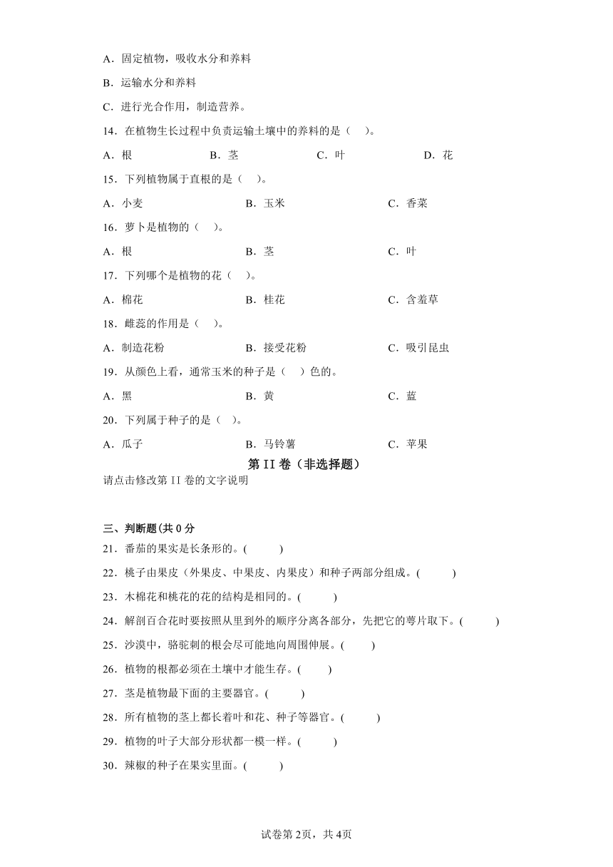 第三单元植物的“身体”期末复习卷三年级科学下册（粤教版2017）