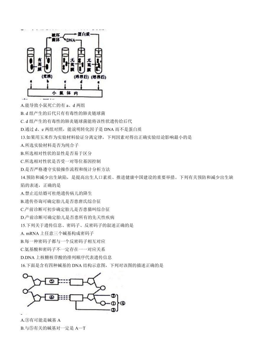 辽宁省葫芦岛市普通高中2020-2021学年高一下学期期末学业质量监测生物试题 Word版含答案