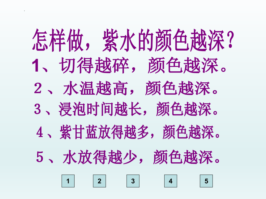 紫甘蓝的魔法（课件）全国通用二年级上册综合实践活动(共18张PPT)