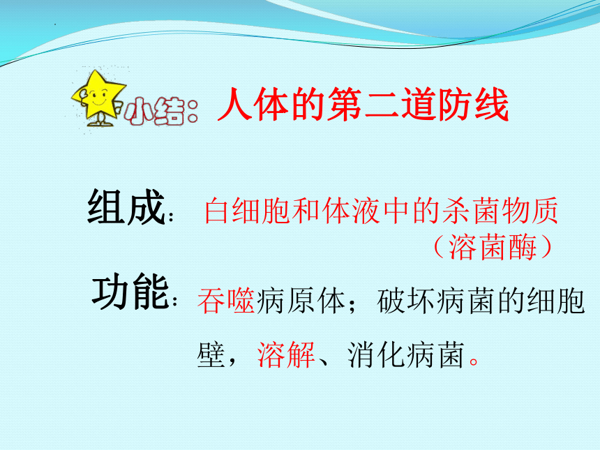 4.13.3人体免疫课件(共36张PPT)2022--2023学年北师大版生物七年级下册