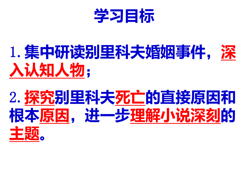 人教版  必修5 语文  2.装在套子里的人 课件（共14张）