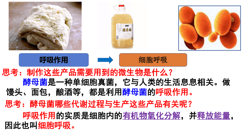 5.3.1 细胞呼吸的原理和应用课件-2022-2023学年高一上学期生物人教版（2019）必修1  课件 (共21张PPT)