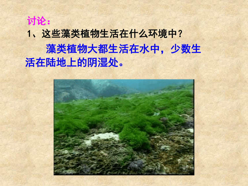 人教七上生物3.1.1藻类、苔癣、蕨类植物 课件（42张ppt）