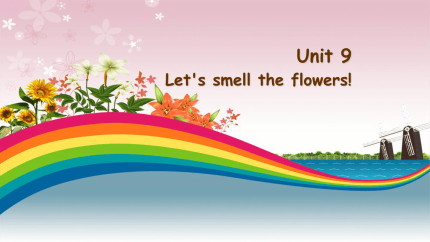 Unit9 Let's smell the flowers 第三课时课件