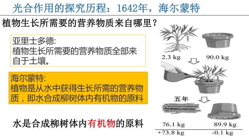 2022-2023学年人教版七年级生物上册 3.5.1光合作用吸收二氧化碳释放氧气 课件   (共20张PPT)