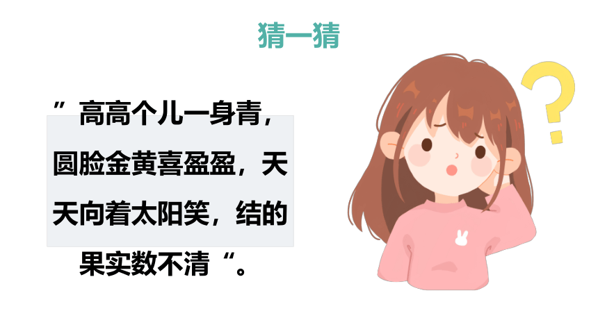 《向日葵》课件通用版少儿美术(共25张PPT)