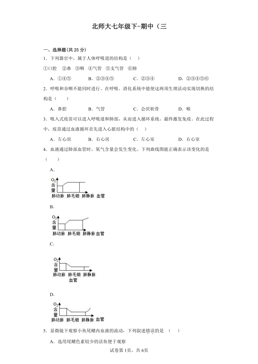 北师大七年级下-期中试卷（三）（含解析）