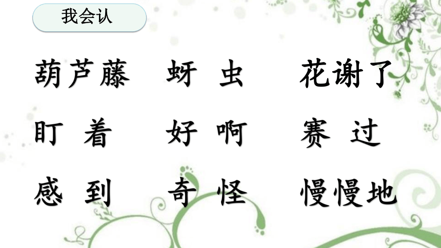 14我要的是葫芦（课件）(共18张PPT)