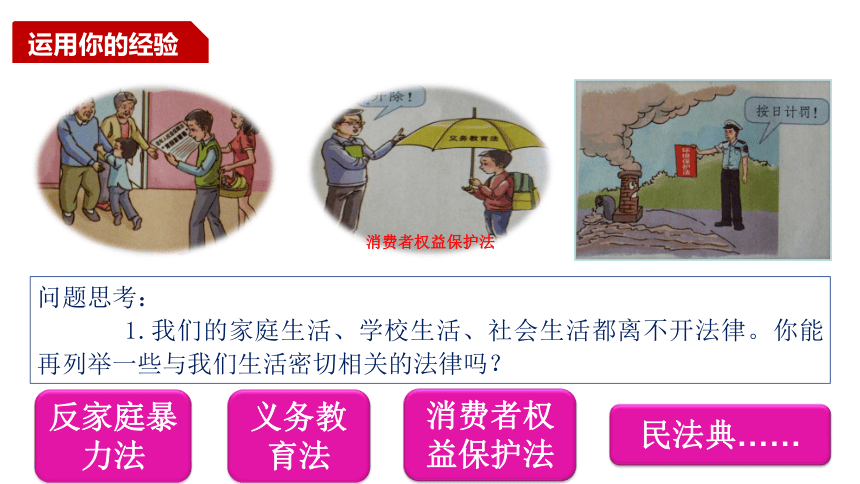 9.1 生活需要法律 课件(共22张PPT)-2023-2024学年统编版道德与法治七年级下册