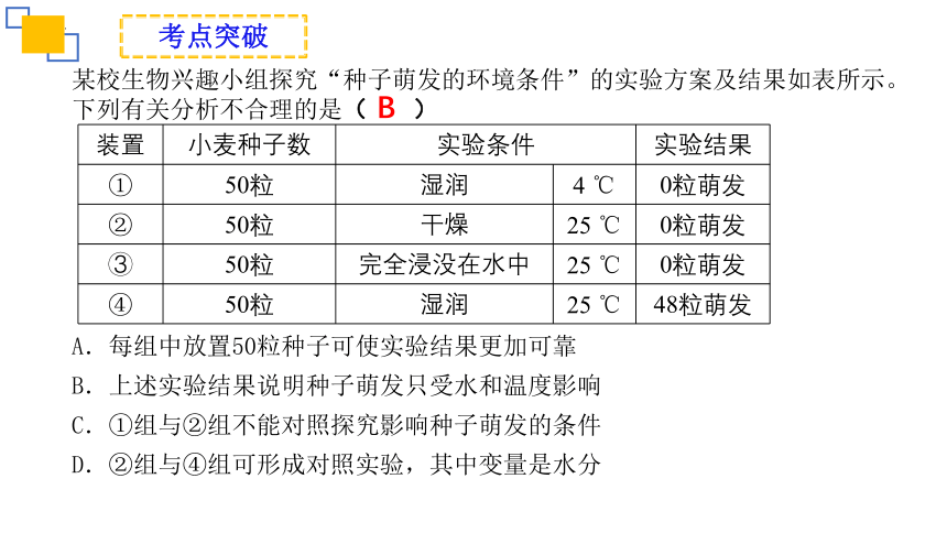 专题05 被子植物的一生-2023年中考生物复习课件(共24张PPT)