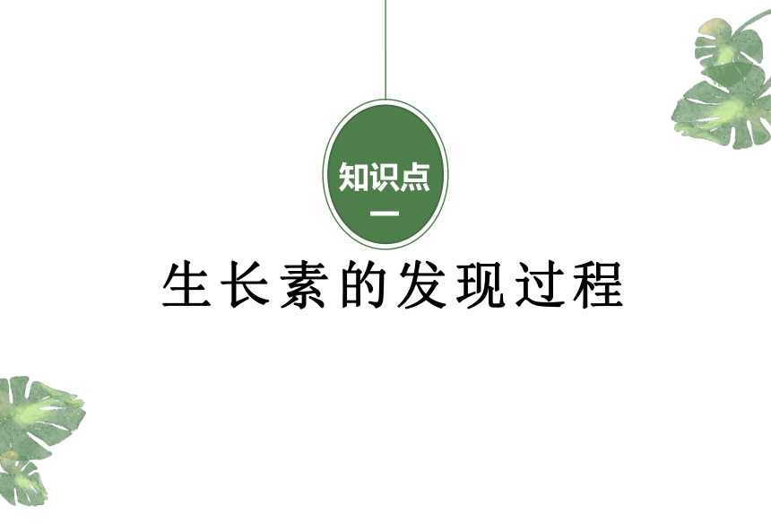 2021——2022学年高二上学期生物人教版必修三3.1植物生长素的发现课件(共31张PPT)