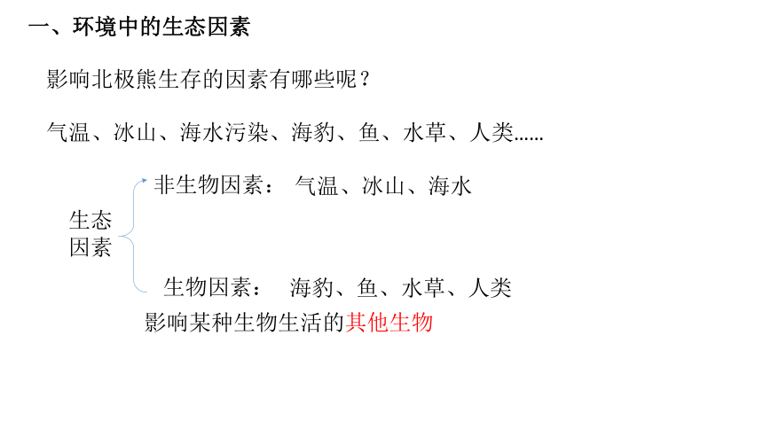 初中生物人教版七年级上册1.2.1生物与环境的关系（第一课时）课件(共22张PPT)