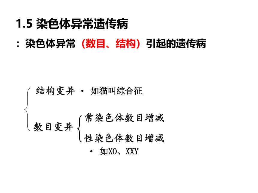 2020-2021学年高一下学期生物人教版必修二5.3 人类遗传病课件（27张）