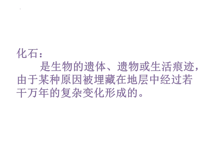 7.3.2生物进化的历程课件 2022-2023学年人教版生物八年级下册（共25张PPT）