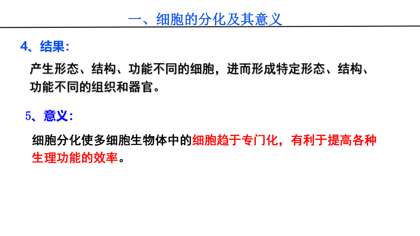 2021-2022学年高中生物人教版（2019）必修一6.2 细胞的分化课件（23张PPT）