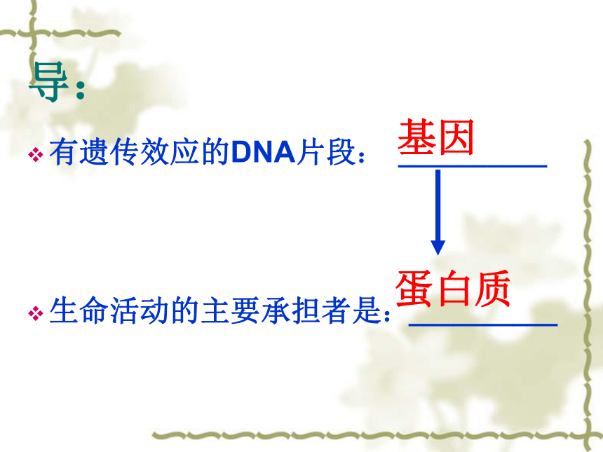新人教版生物高中必修二4.1 基因指导蛋白质的合成(60张PPT)