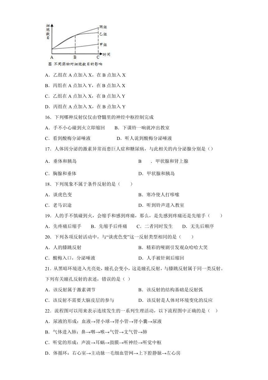 人教版生物七年级下册第四单元第六章《人体生命活动的调节》测试题（含答案）