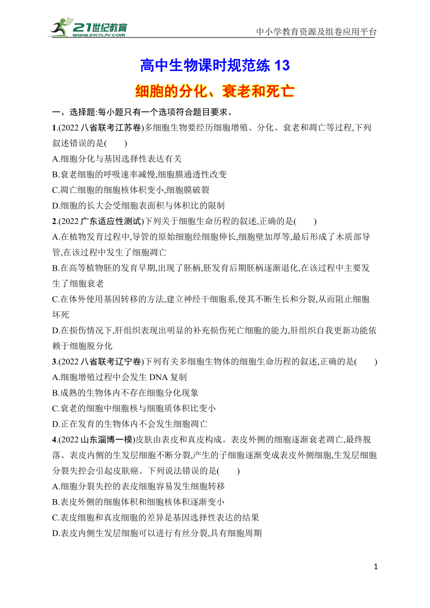 高中生物课时规范练13　细胞的分化、衰老和死亡(学生版含答案详解)