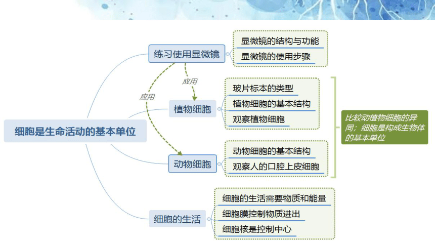 专题02 细胞是生命活动的基本单位（课件）(共21张PPT)备战中考生物一轮复习考点（全国通用）