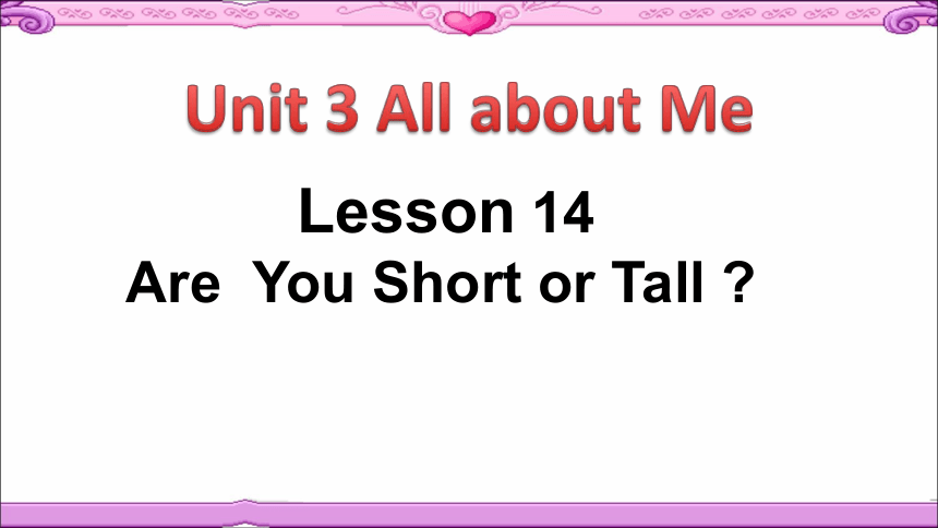 Unit 3 Lesson 14 Are You Short or Tall？课件（共21张PPT）