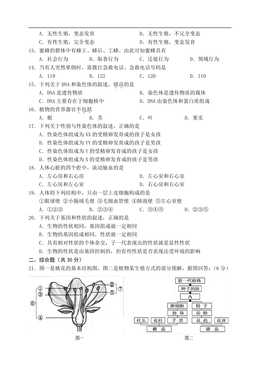 2021年辽宁省阜新市中考生物试题（Word版，含答案）