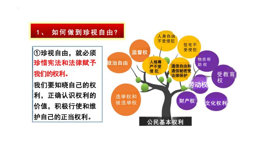 7.2 自由平等的追求 课件(共22张PPT)-2023-2024学年统编版道德与法治八年级下册