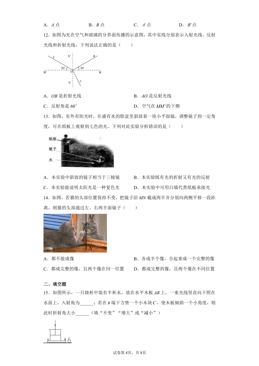 2.5 光的反射和折射 同步练习（含解析）