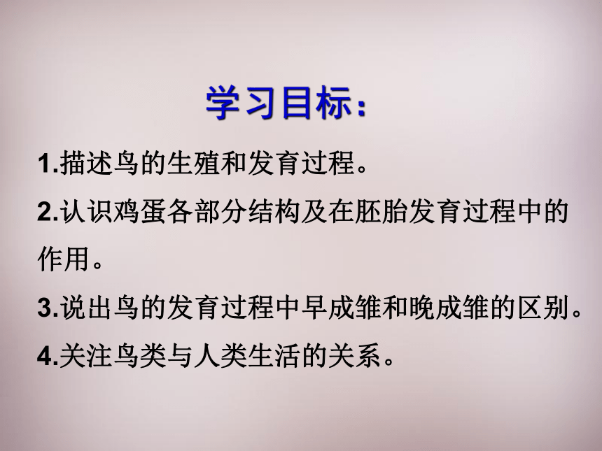 4.2.3 鸟的生殖和发育课件(共21张PPT) 2021--2022学年济南版生物八年级上册