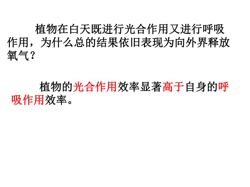 3.5.2绿色植物的呼吸作用课件(共34张PPT+动画1个)2023-2024学年人教版生物七年级上册