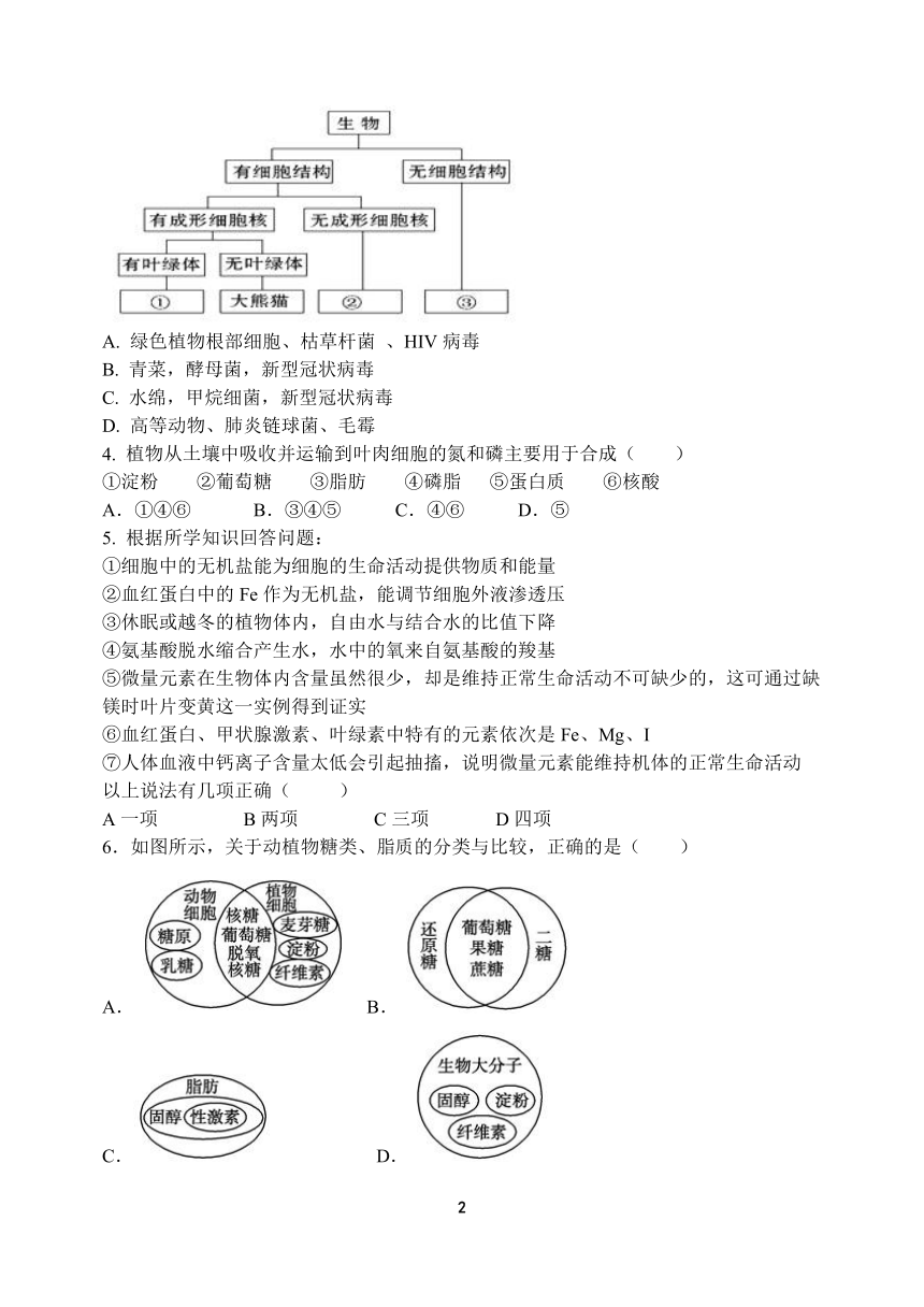 河南省顶级中学2021-2022学年高一上学期12月联考生物试题（PDF版含答案）