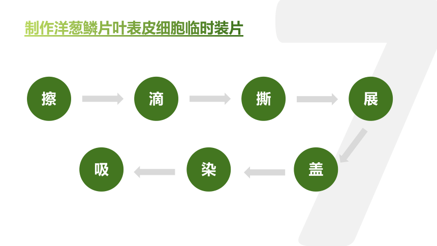 第二节 植物细胞 课件（22张PPT）