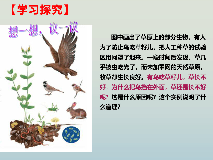 人教版七年级生物上册 1.2.2生物与环境组成生态系统 课件(共33张PPT)