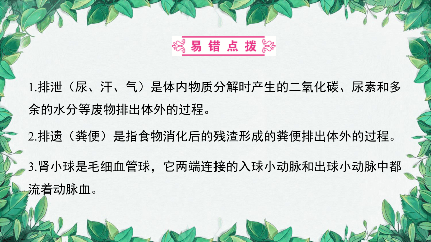 2023年中考生物复习 课题四 人体代谢废物的排出课件(共39张PPT)