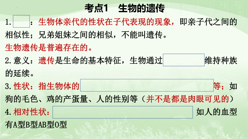 专题9  生物的遗传、变异和进化课件(共23张PPT)