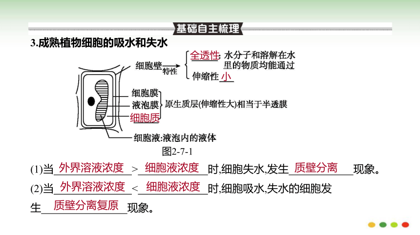 高三生物一轮复习：第7讲  细胞的物质输入和输出(共95张PPT）