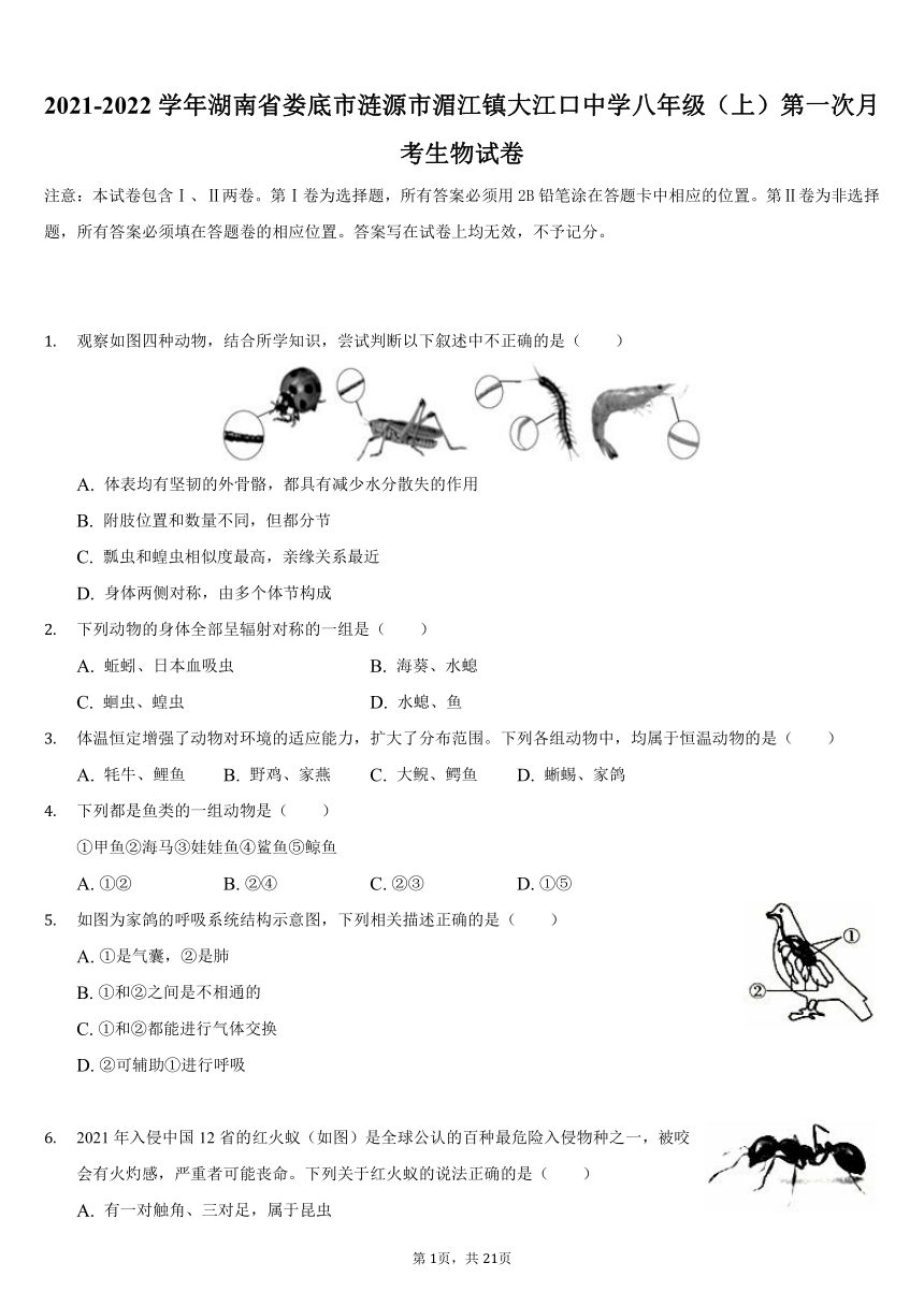 2021-2022学年湖南省娄底市涟源市湄江镇大江口中学八年级（上）第一次月考生物试卷（word版，含解析）