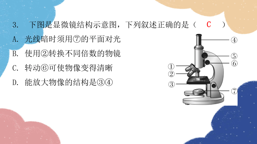 人教版生物七年级上册 第二单元过关训练课件（共46张PPT）