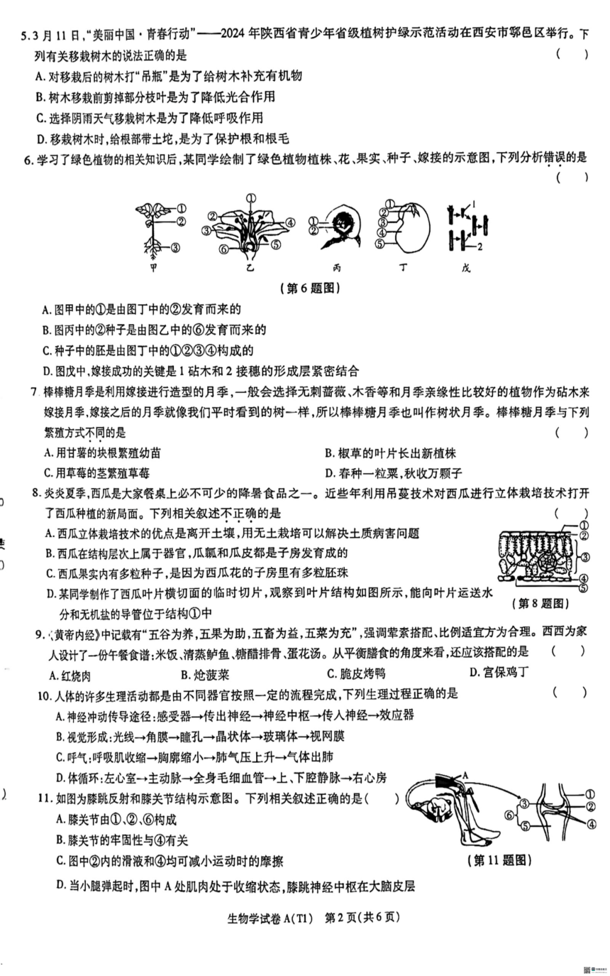 陕西省渭南市某地区2023-2024学年八年级下学期学业水平考试模拟生物试卷（含答案）