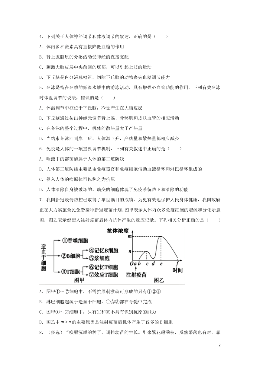 新教材2021_2022学年高二生物下学期暑假巩固练习7内环境的稳态及生命活动的调节（word版含解析）