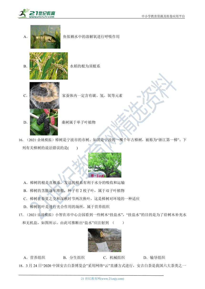 【8年级下册同步讲练测】第4章 植物与土壤 综合学情检测（含答案）