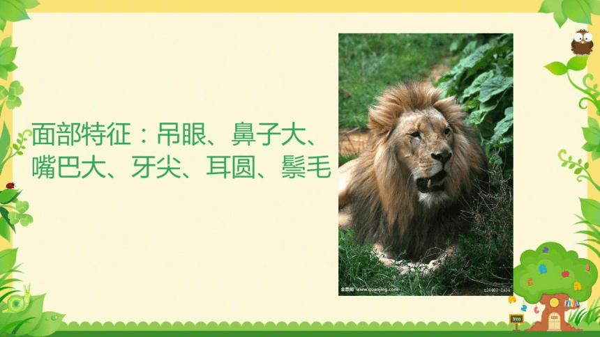 冀美版一年级美术下册 13威武的狮子 课件(共17张PPT)