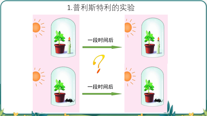 3.5.1光合作用吸收二氧化碳释放氧气课件(共45张PPT) 2022-2023学年人教版生物七年级上册