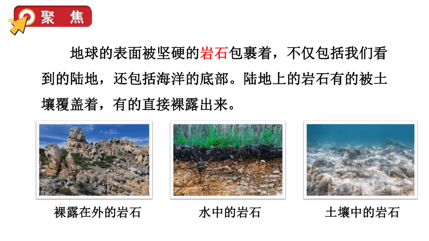 教科版(2017秋)四年级科学下册 3.1 岩石与土壤的故事 课件（43张PPT）
