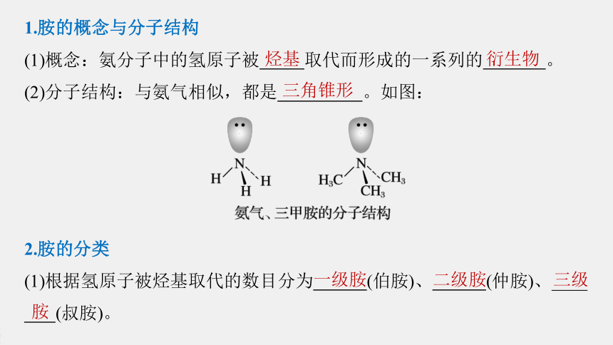 高中化学苏教版（2021）选择性必修3 专题5  第二单元　胺和酰胺（74张PPT）