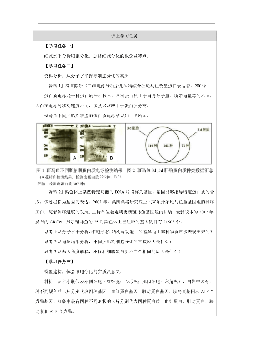 4.2细胞通过分化产生不同类型的细胞学案