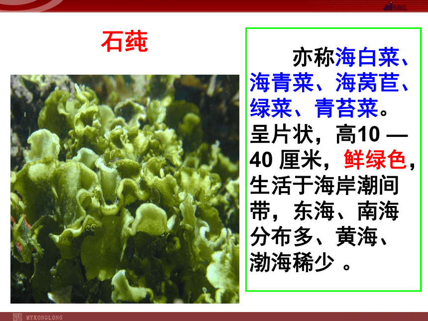 人教版生物七年级上3.1.1藻类、苔藓和蕨类植物 课件 （58张PPT）