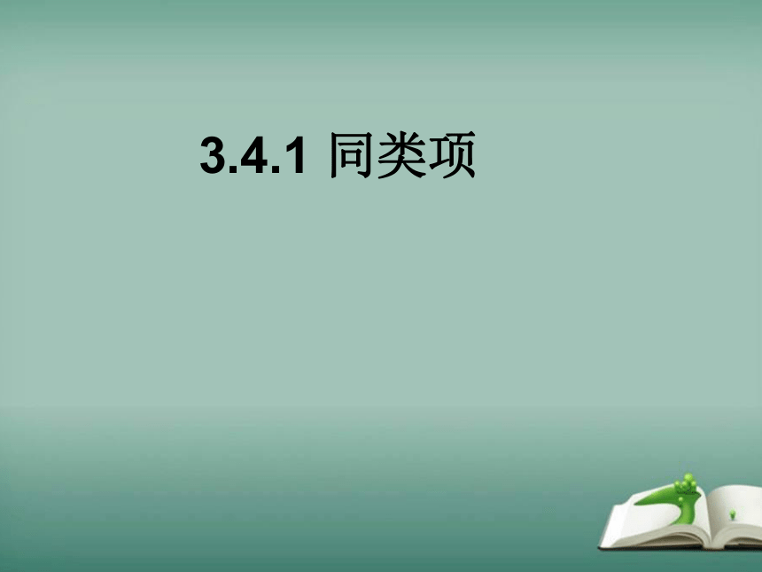 【精选备课】2022-2023学年华师大版数学七年级上册 3.4.1 同类项 课件(共19张PPT)