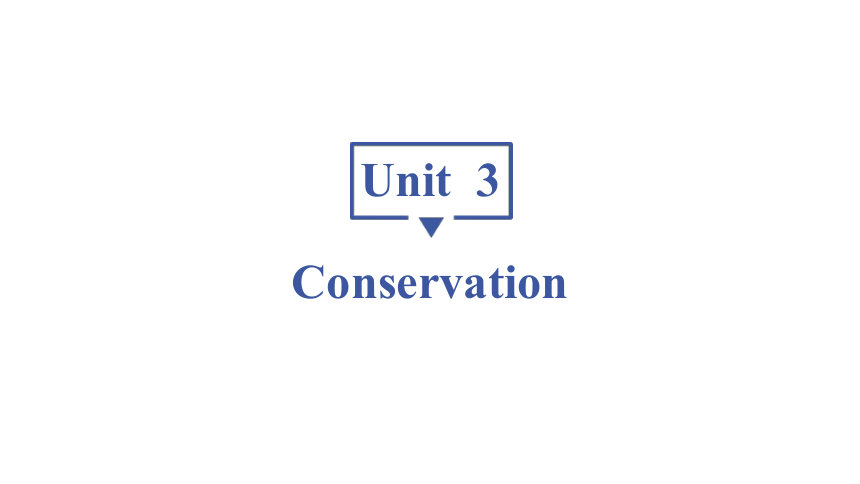 北师大版（2019） 选择性必修第一册 Unit 3  Conservation知识·技能·考试词 句 重难点 课件 (共31张PPT)