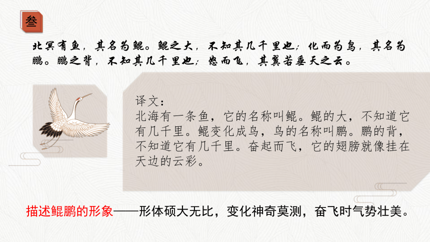 6《逍遥游》课件(共33张PPT) 2022-2023学年人教版高中语文必修5