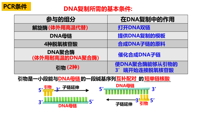 3.2基因工程的基本操作程序(聚合酶链式反应）课件(共14张PPT)-2022-2023学年高二下学期生物人教版（2019）选择性必修3